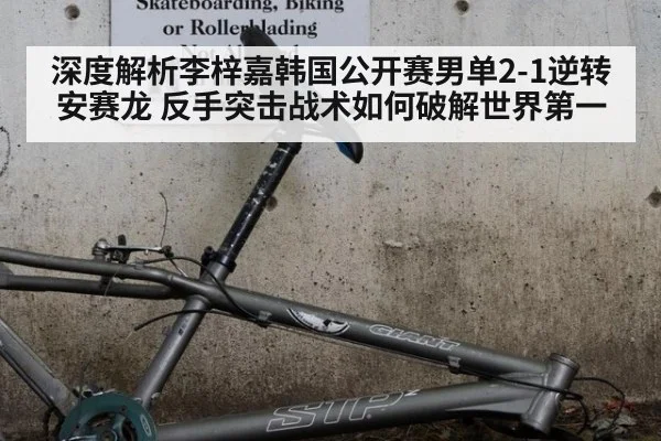 深度解析李梓嘉韩国公开赛男单2-1逆转安赛龙 反手突击战术如何破解世界第一
